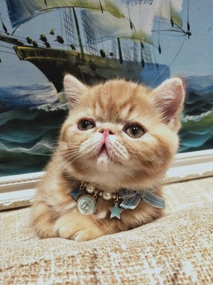 Collier de bijoux du Nouvel An pour animaux de compagnie, pendentif cloche, nœud papillon - LUXARAH