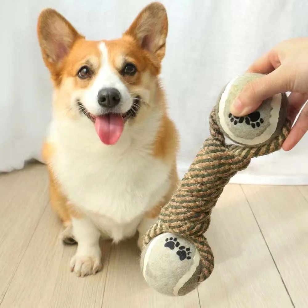 Jouet à mâcher pour animaux de compagnie, corde en coton, haltère de tennis, balle en caoutchouc, jouet interactif pour chiens de taille moyenne et grande, fournitures de jeu pour animaux - LUXARAH