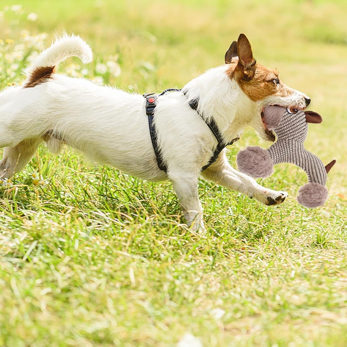 Jouet couineur pour grands chiens, peluche, jouet interactif pour chiens - Jouet à mâcher en peluche pour chiens, jouets couineurs stimulants pour animaux de compagnie, pour chiens de taille moyenne et grande - LUXARAH