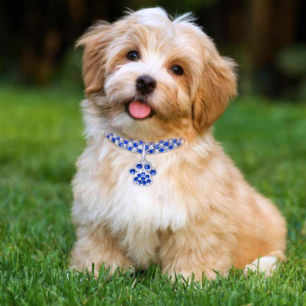 Collier pour animal de compagnie avec diamants, accessoires pour chats et chiens de couleurs variées, griffes de chat, collier élastique pour chat et chien - LUXARAH
