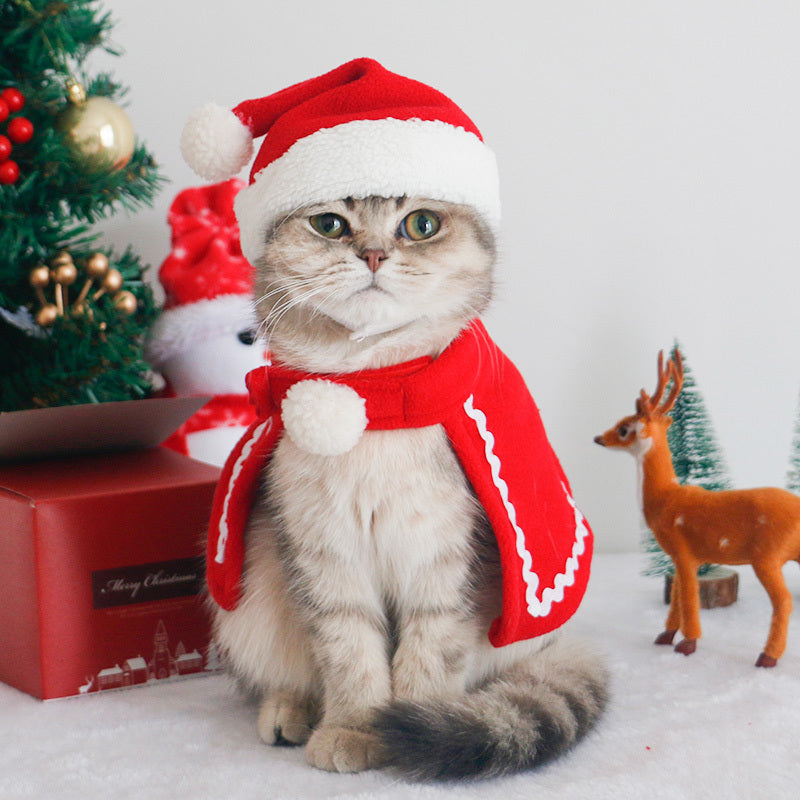 Écharpe pour chien, chapeau pour chat, bavoir, bijoux d'hiver - LUXARAH