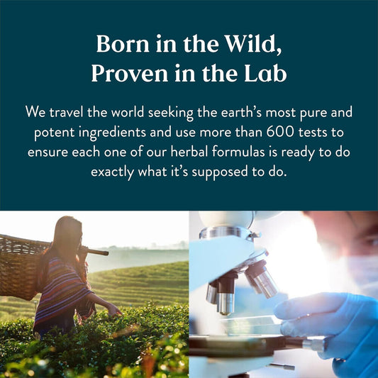 Produits de soins de santé, Gouttes pour la santé lymphatique - LUXARAH