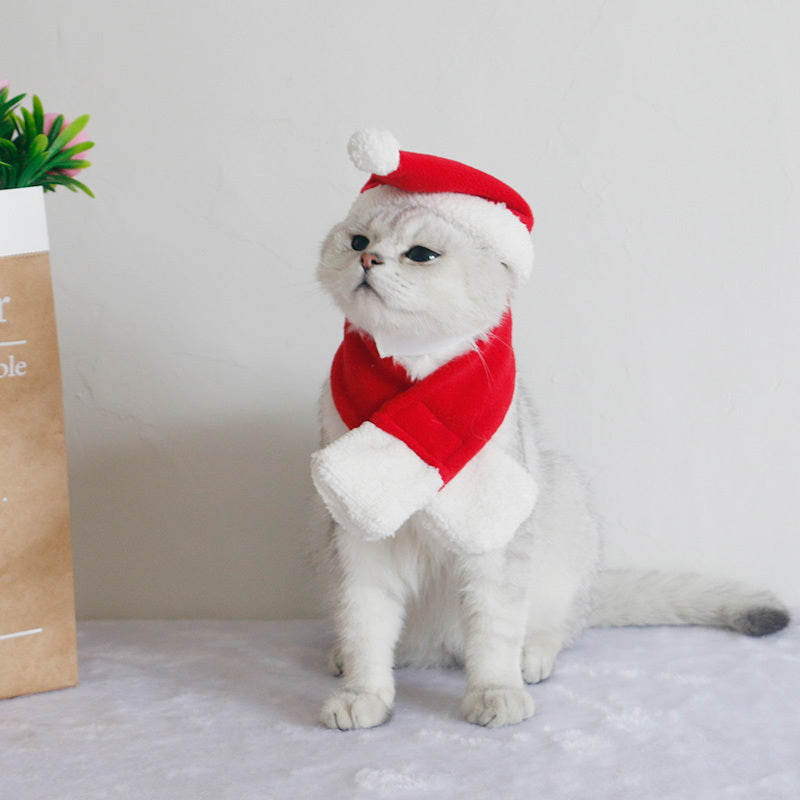 Écharpe pour chien, chapeau pour chat, bavoir, bijoux d'hiver - LUXARAH