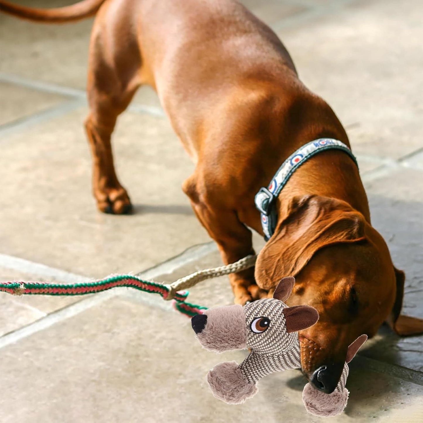 Jouet couineur pour grands chiens, peluche, jouet interactif pour chiens - Jouet à mâcher en peluche pour chiens, jouets couineurs stimulants pour animaux de compagnie, pour chiens de taille moyenne et grande - LUXARAH