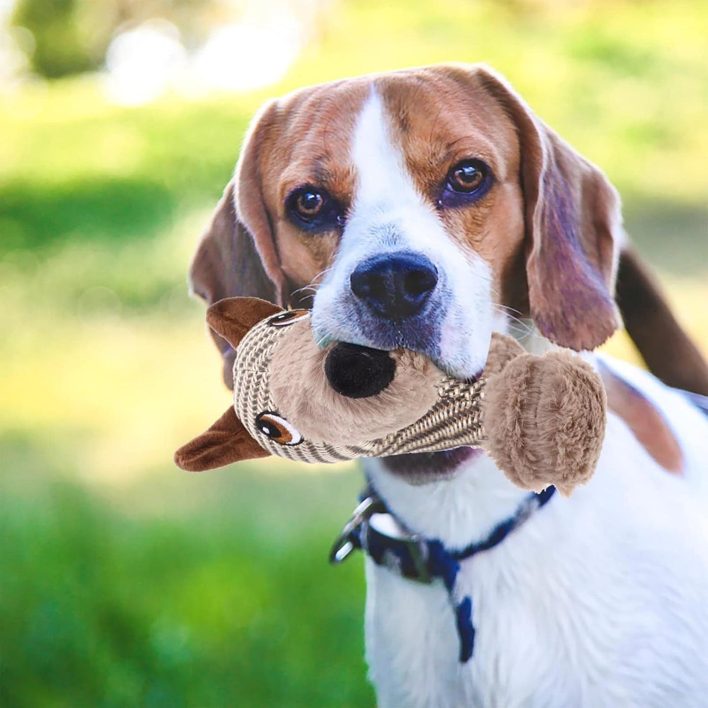 Jouet couineur pour grands chiens, peluche, jouet interactif pour chiens - Jouet à mâcher en peluche pour chiens, jouets couineurs stimulants pour animaux de compagnie, pour chiens de taille moyenne et grande - LUXARAH