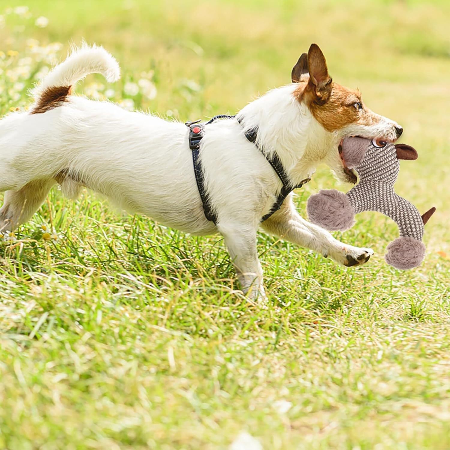Jouet couineur pour grands chiens, peluche, jouet interactif pour chiens - Jouet à mâcher en peluche pour chiens, jouets couineurs stimulants pour animaux de compagnie, pour chiens de taille moyenne et grande - LUXARAH