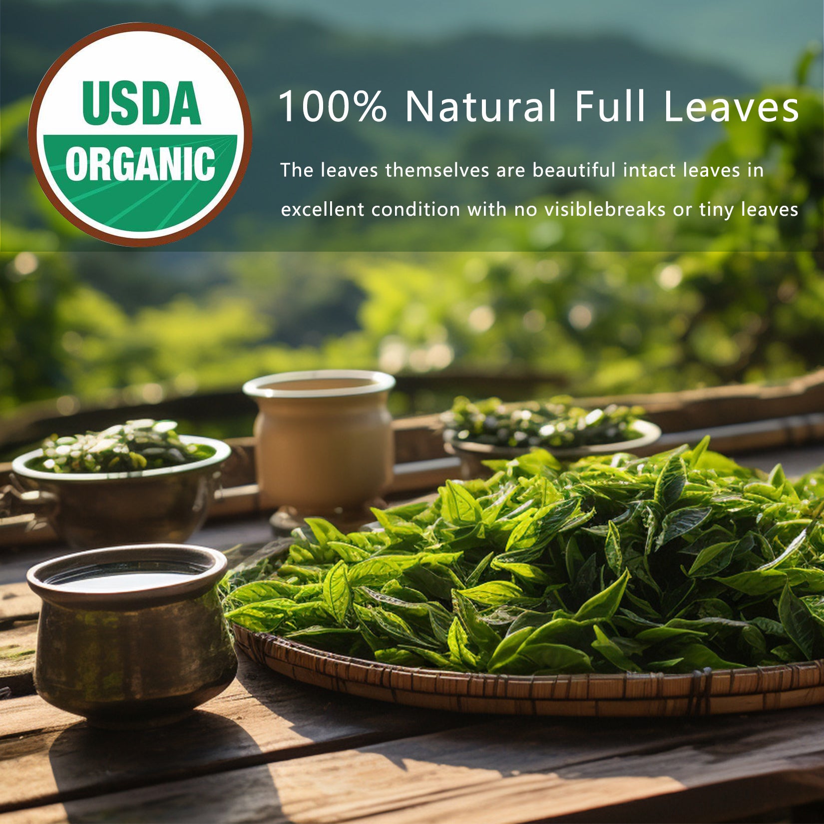 Thé détoxifiant, sachets de thé aux herbes naturelles, feuilles d'oolong pour le nettoyage des poumons, soulagement de la congestion, détox à base de plantes, sans caféine, sans OGM, biologique, pour la santé intestinale et renforcement immunitaire. - LUXARAH