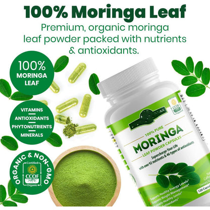 Capsules de Moringa, 120 capsules de raifort - LUXARAH