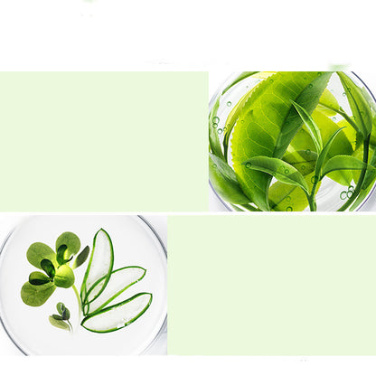 Coffret de 5 crèmes au thé vert - LUXARAH