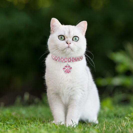 Collier pour animal de compagnie avec diamants, accessoires pour chats et chiens de couleurs variées, griffes de chat, collier élastique pour chat et chien