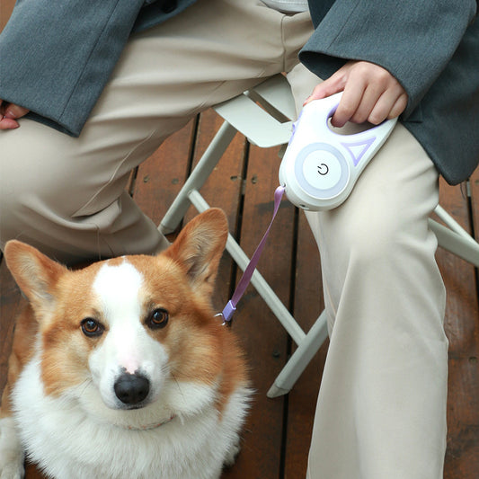 Laisse rétractable pour chien et collier Spotlight, corde de traction automatique pour chien et chat, pour petits et moyens chiens, produit pour animaux de compagnie - LUXARAH