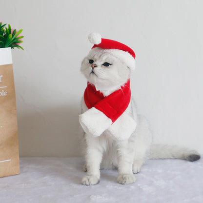 Écharpe pour chien, chapeau pour chat, bavoir, bijoux d'hiver - LUXARAH