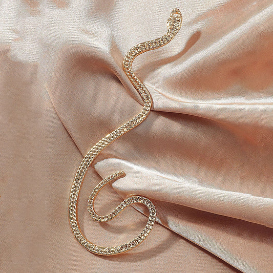 Boucles d'oreilles vintage en zircone, sans trou, en forme de serpent, pour femmes, faux cartilage exagéré, bijoux tendance, cadeaux